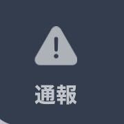 Report